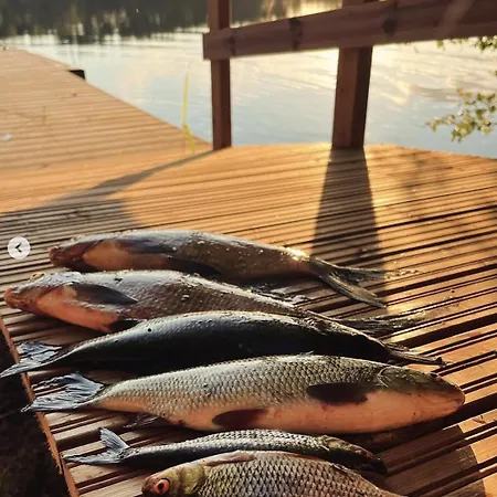 Luxury tent Alaska Glamping Linnansaari